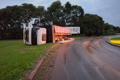 Caminhão carregado de suínos tomba no trevo da BR-472 em Três de Maio