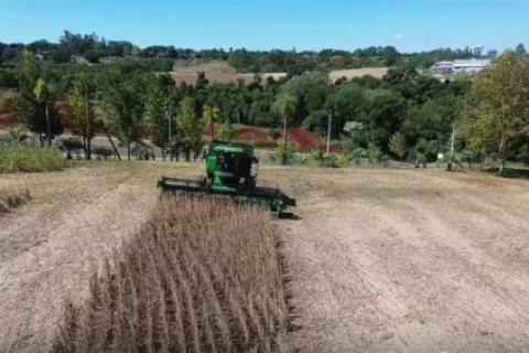 A colheita que ensina: tecnologia aplicada à soja no Centro Regional de Treinamento John Deere FAHOR